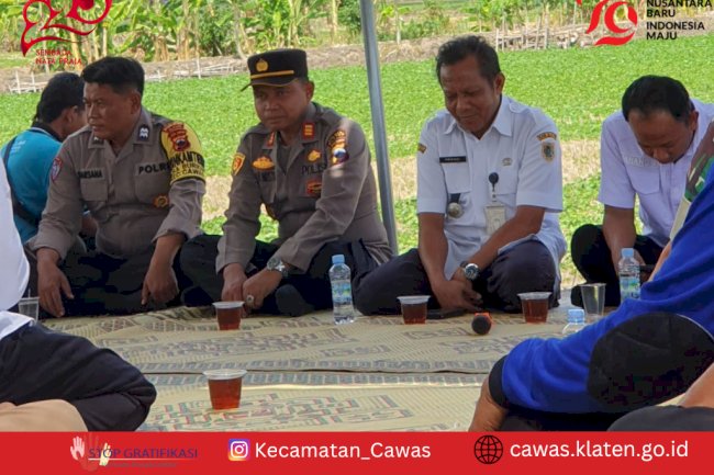 Syukuran Panen Padi Desa Burikan